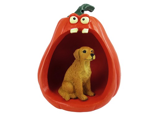 Golden Retriever Dog-o'-Lantern